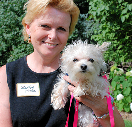 PICNIC 2008 SLIDE 40