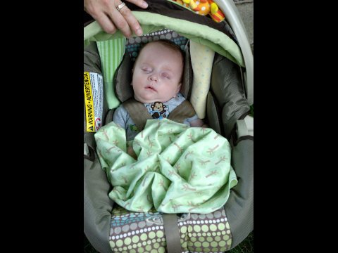 PICNIC 2010 SLIDE 31