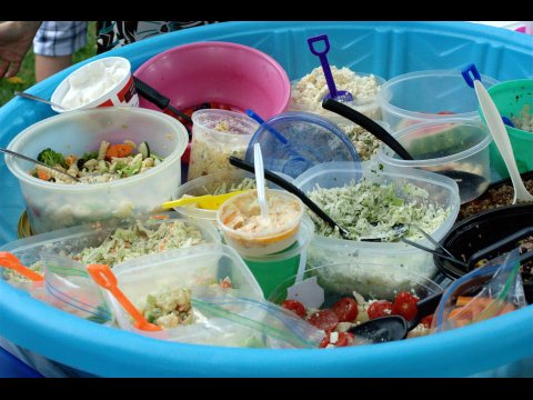 PICNIC 2010 SLIDE 54